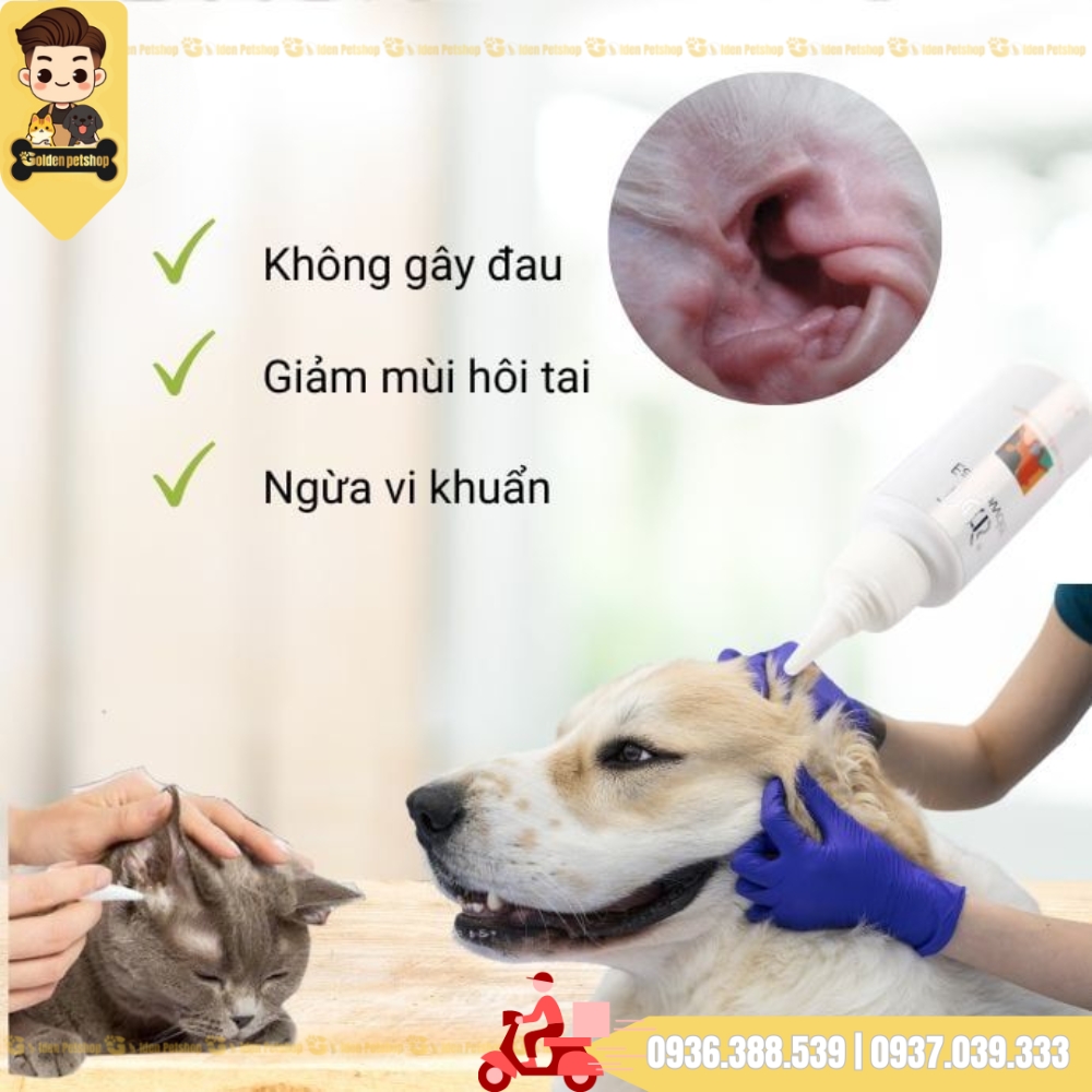 Bột nhổ lông tai Pettis cho chó poodle, chó lông xoăn