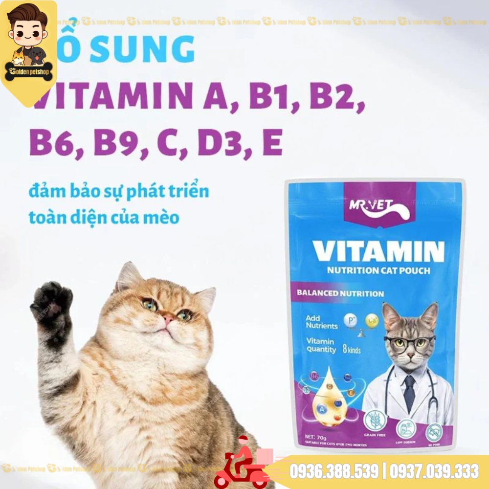 Pate cho mèo Mr Vet - gói 70g