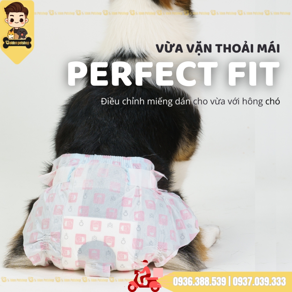 Tả, Bỉm cho chó Cái Fofos - Nhiều kích cở