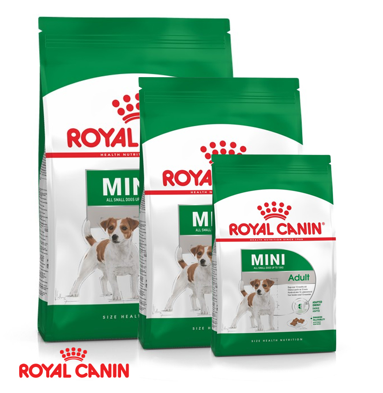 Thức ăn chó Royal Canin Mini Adult - Chó giống nhỏ trên 10 tháng tuổi