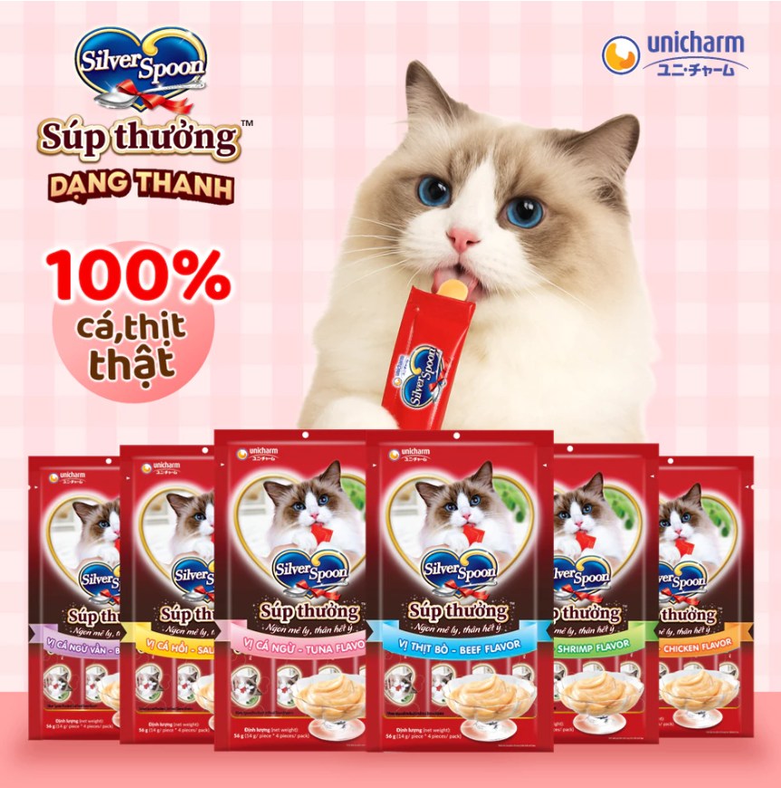 Súp thưởng Silver Spoon