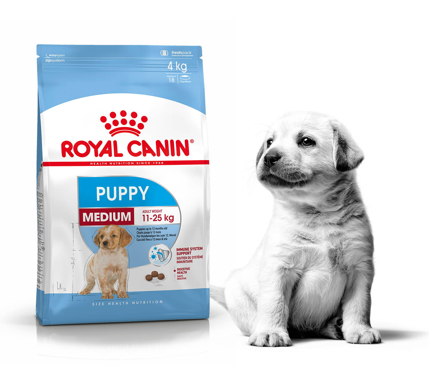 Thức ăn cho chó Royal Canin Medium Puppy - Chó con kích cở Trung bình