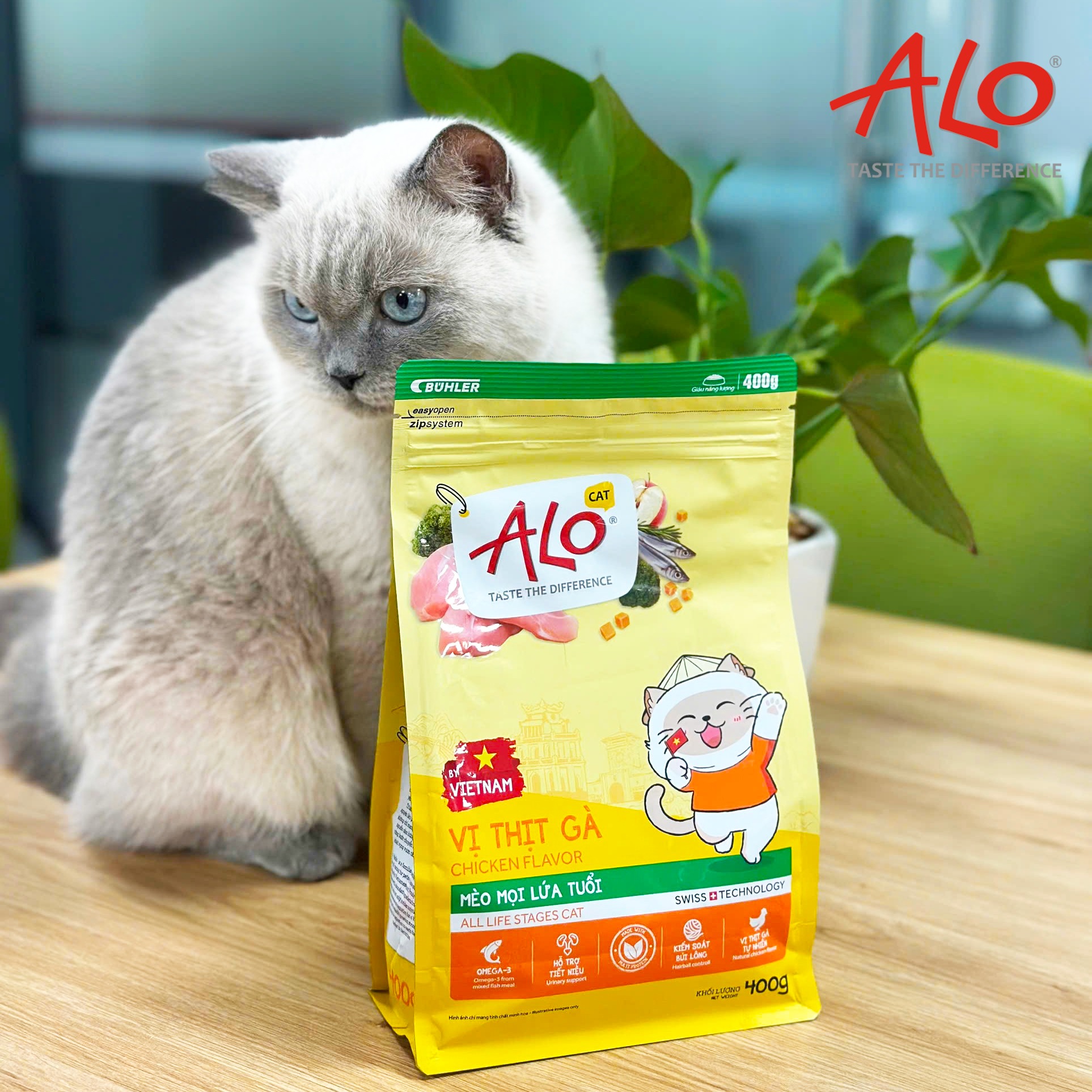 Hạt mèo Alo 1kg