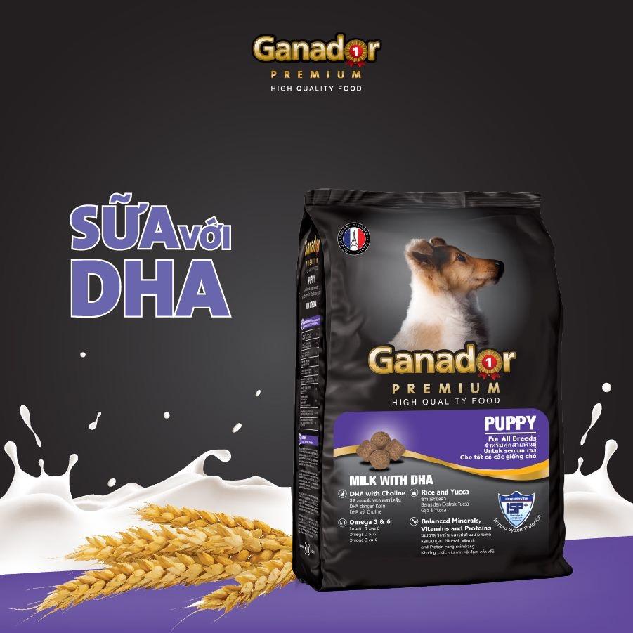 Thức ăn cho chó con Sữa & DHA - Ganador Premium
