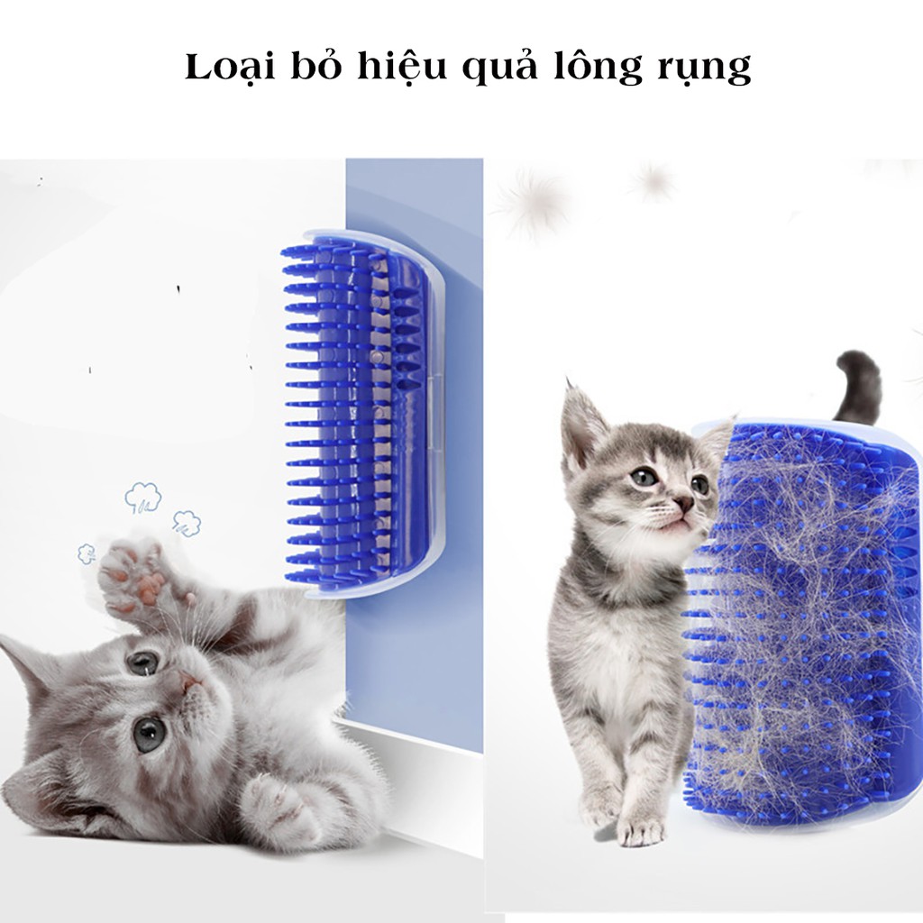 Bàn chải lông đính tường