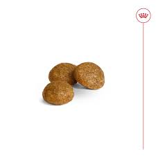 Thức ăn cho chó Royal Canin Xsmall Adult - Chó trưởng thành kích cở siêu nhỏ