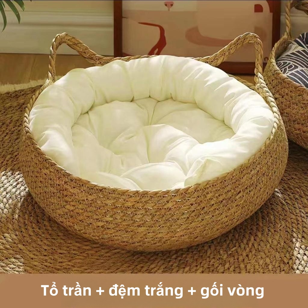 Ổ nệm