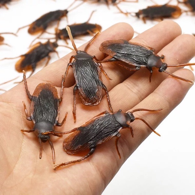 Đồ chơi thú cưng