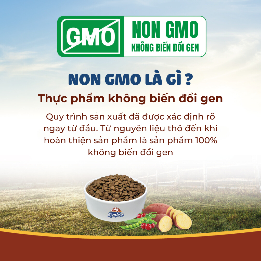 Thức ăn hạt dành cho mèo Kaniva mèo Vị Gà Cá ngừ - Chicken&Tuna