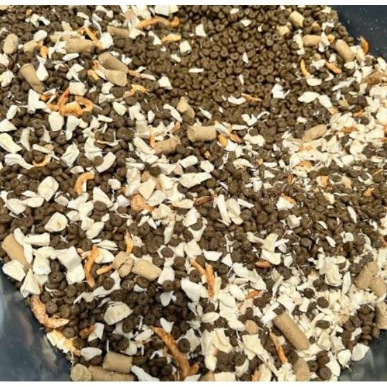 Thức ăn hạt cho mèo có Topping Langlike