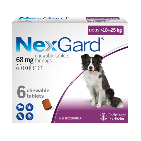 NexGard điều trị ghẻ ve rận cho chó