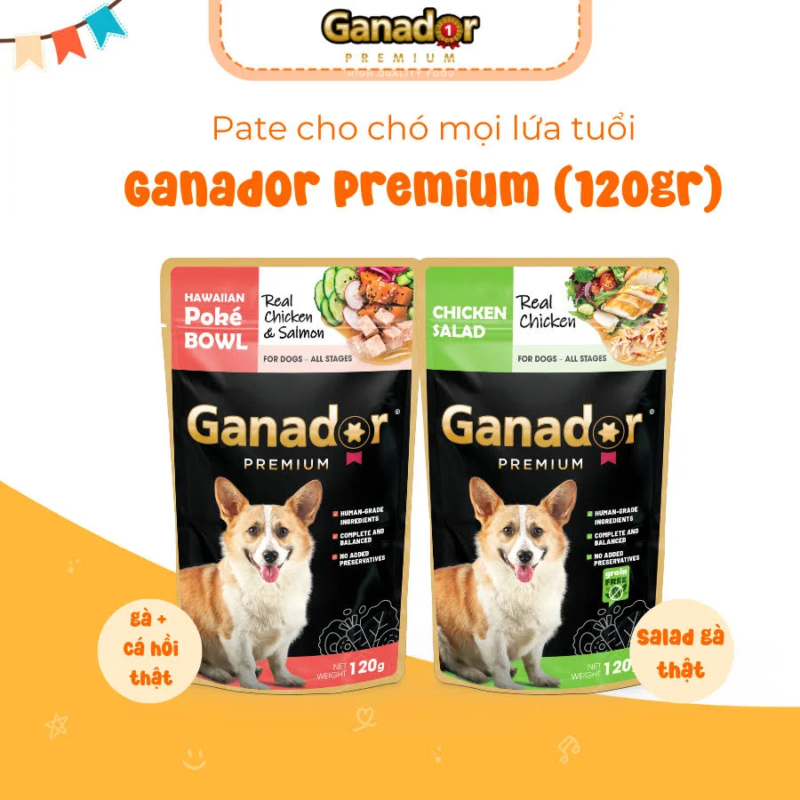 Pate Ganador Premium dành cho chó