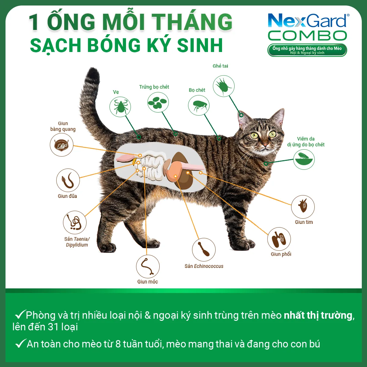 NexGard combo trị ve rận, ghẻ, xổ giun cho  mèo