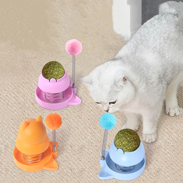 cỏ mèo catnip