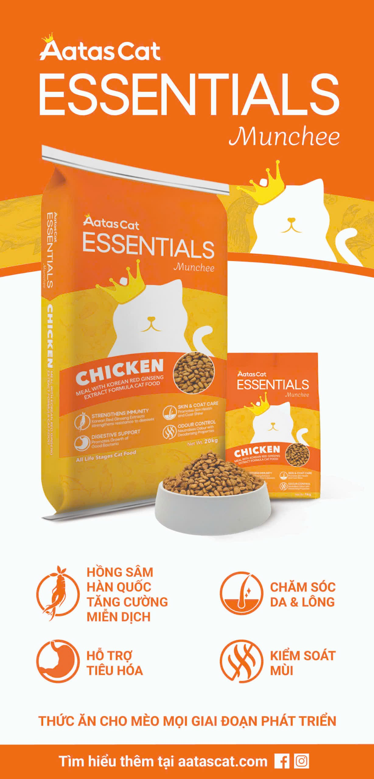 Hạt Mèo Aatas Cat Essentials Munchee Chicken Chính Hãng | Golden Pet