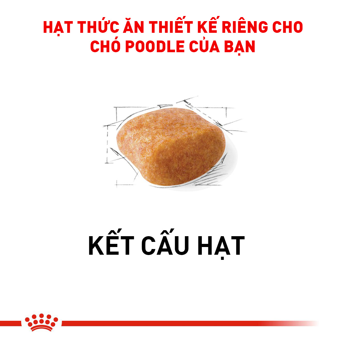 Royal Canin Poodle Adult Hạt chó Poodle trưởng thành