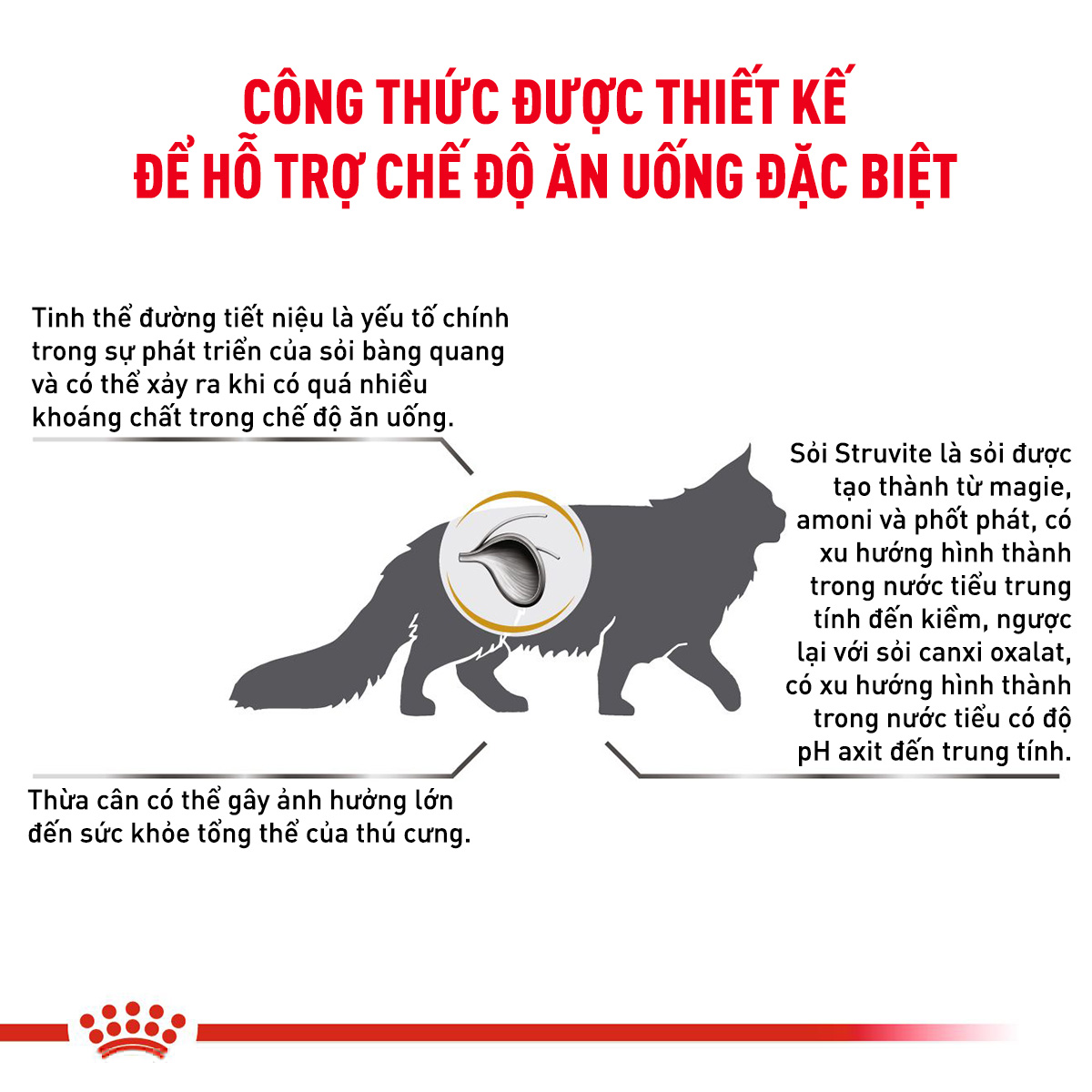 Royal Canin Urinary S/O Hạt mèo hỗ trợ tiết niệu
