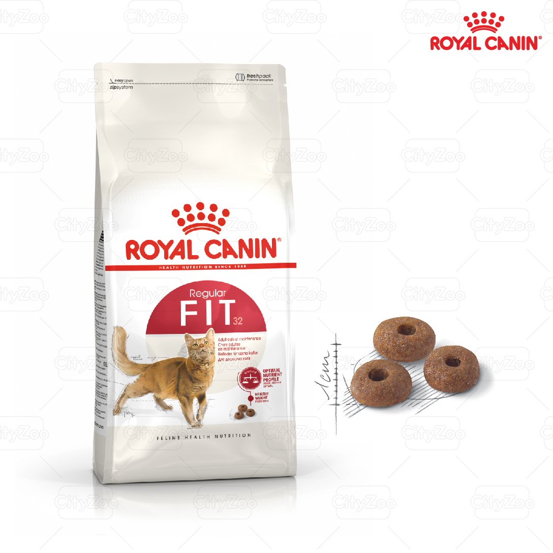 Royal Canin Fit Hạt mèo vận động thường xuyên