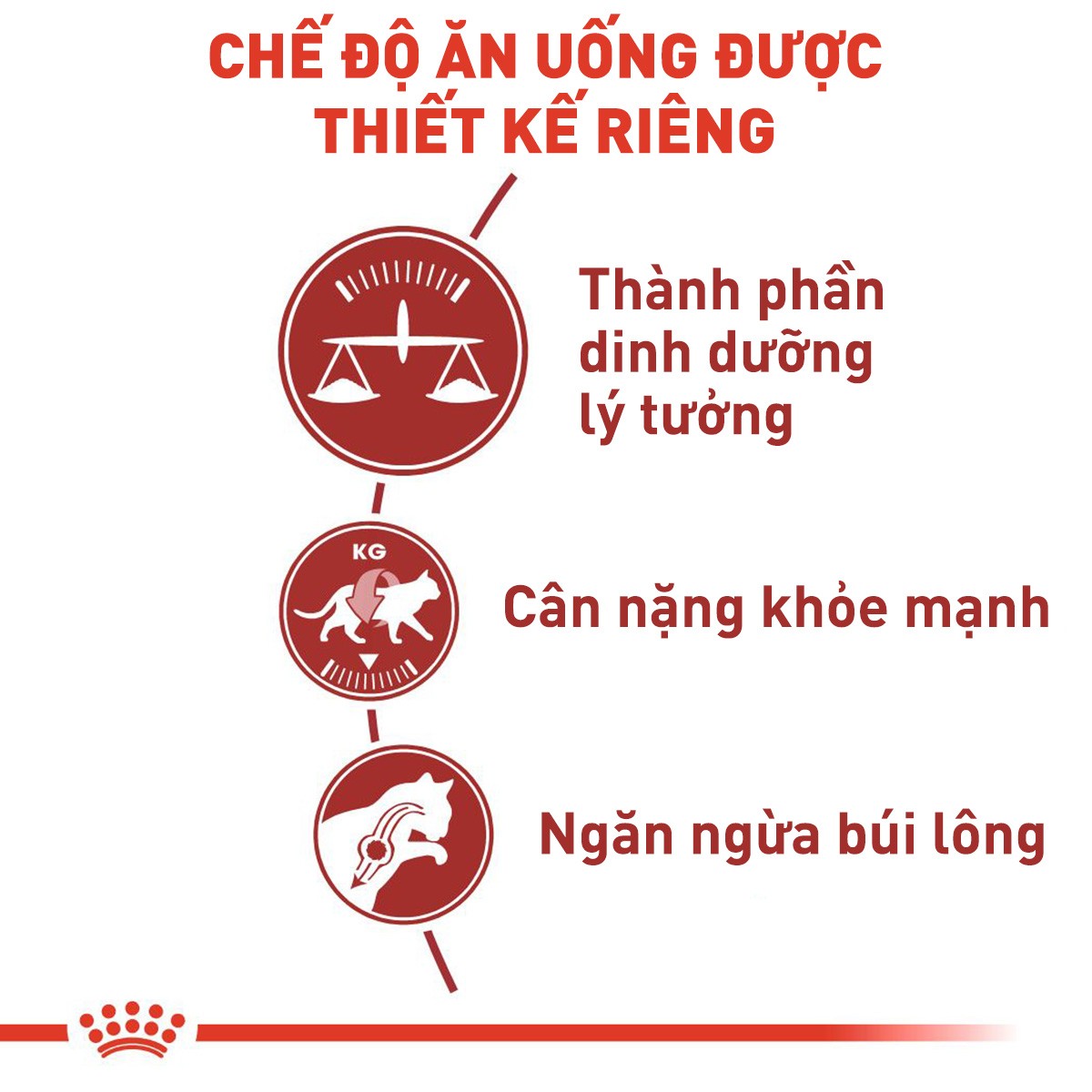 Royal Canin Fit Hạt mèo vận động thường xuyên