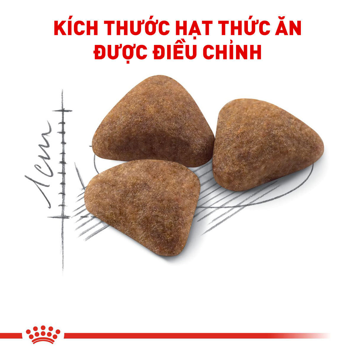 Royal Canin Indoor Hạt mèo nuôi nhốt trong nhà