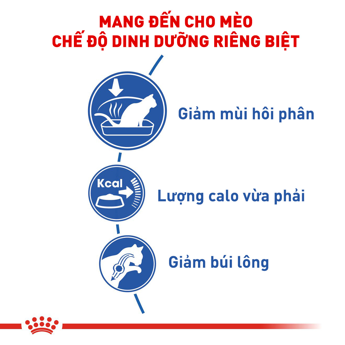 Royal Canin Indoor Hạt mèo nuôi nhốt trong nhà