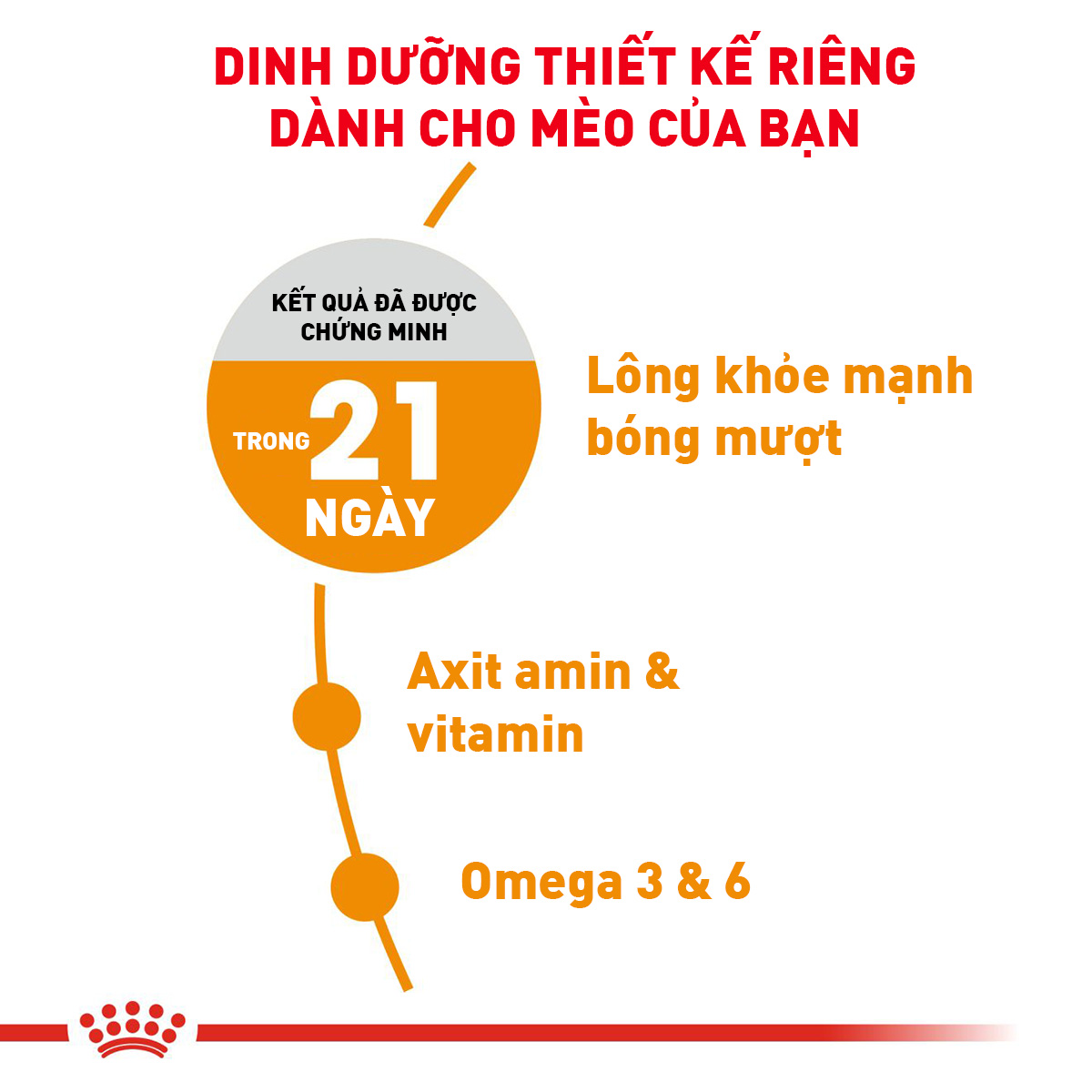 Royal Canin Hair&Skin Care Hạt mèo dưỡng lông & da