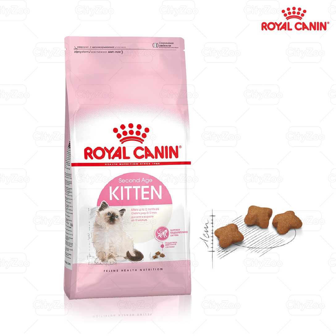 Royal Canin Kitten Hạt mèo con