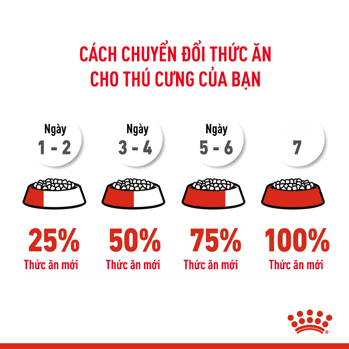 Royal Canin Kitten Hạt mèo con