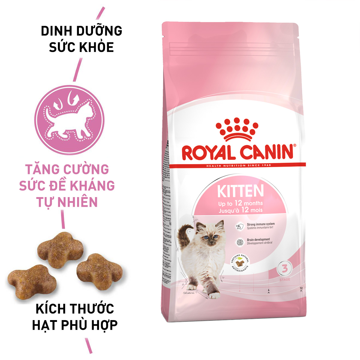 Royal Canin Kitten Hạt mèo con