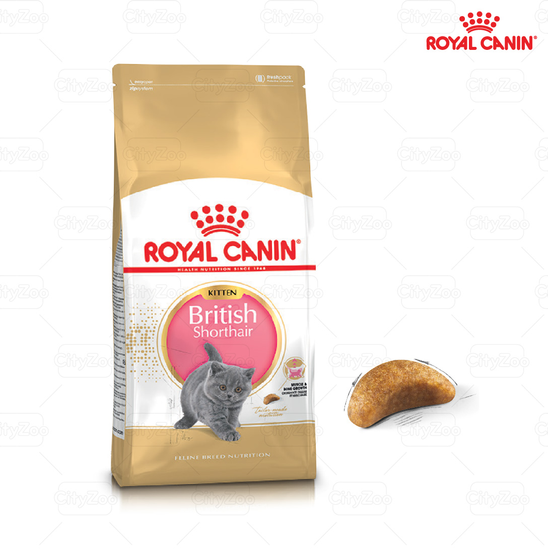 Royal Canin British Shorthair Kitten Hạt mèo con Anh lông ngắn