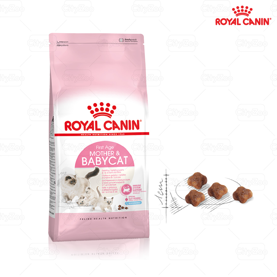 Royal Canin Mother & Baby Hạt mèo mẹ & mèo con