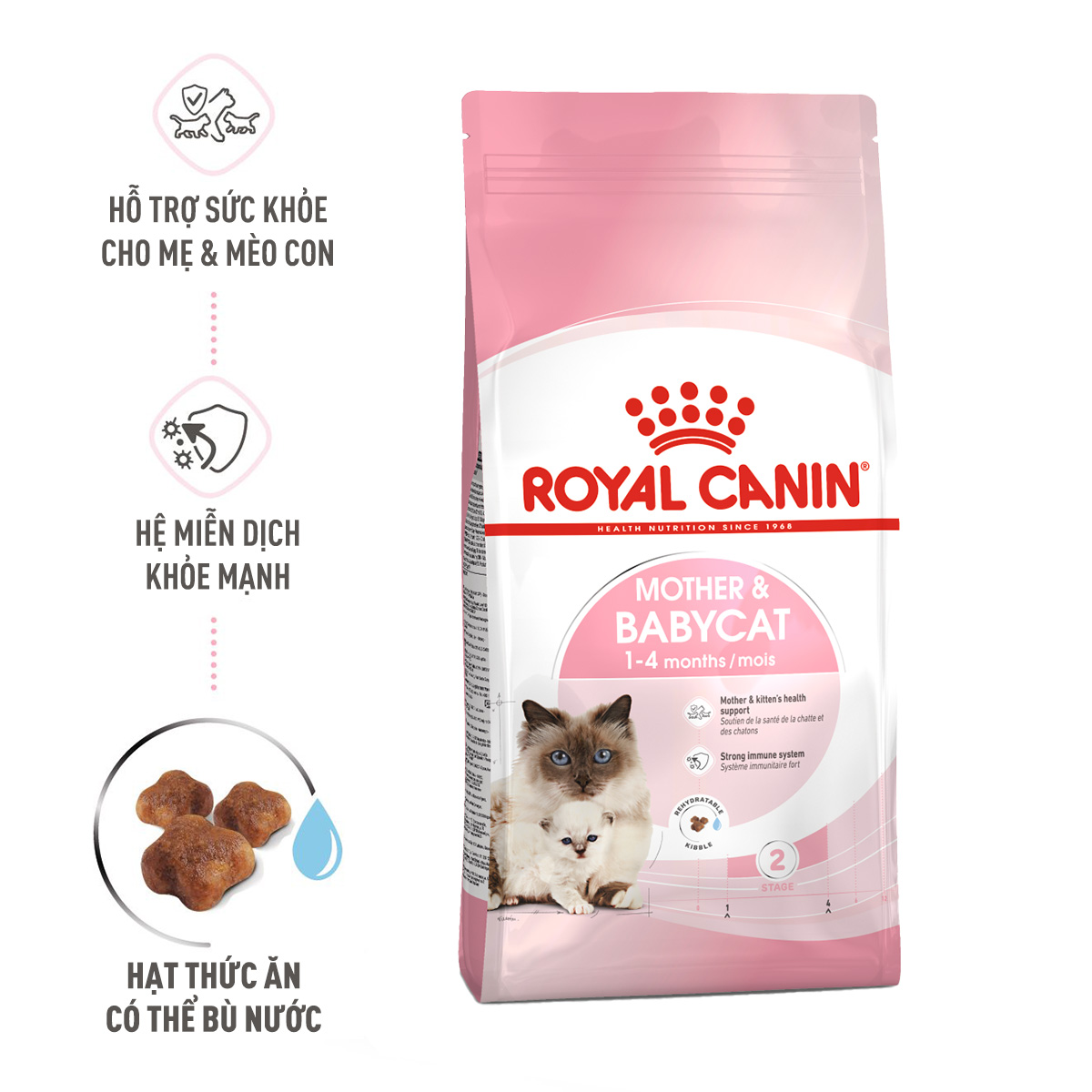 Royal Canin Mother & Baby Hạt mèo mẹ & mèo con