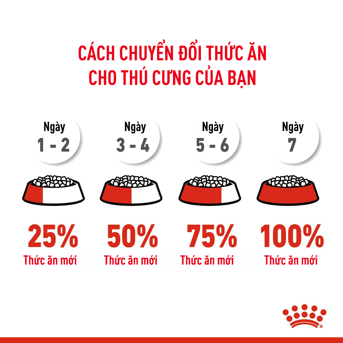 Royal Canin Mother & Baby Hạt mèo mẹ & mèo con