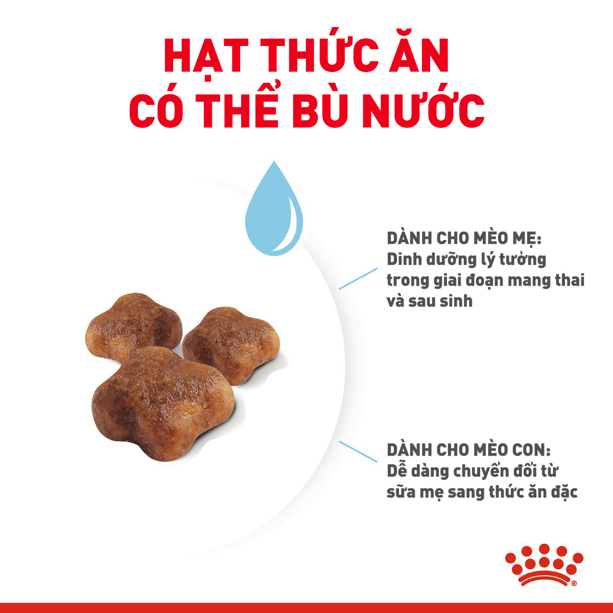 Royal Canin Mother & Baby Hạt mèo mẹ & mèo con