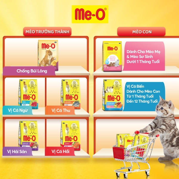 Hạt Me-O Persian Cat Cho Mèo Ba Tư