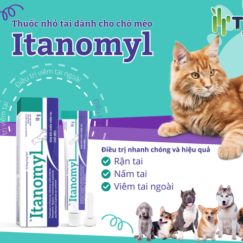Thuốc trị rận tai , viêm tai Itanomy
