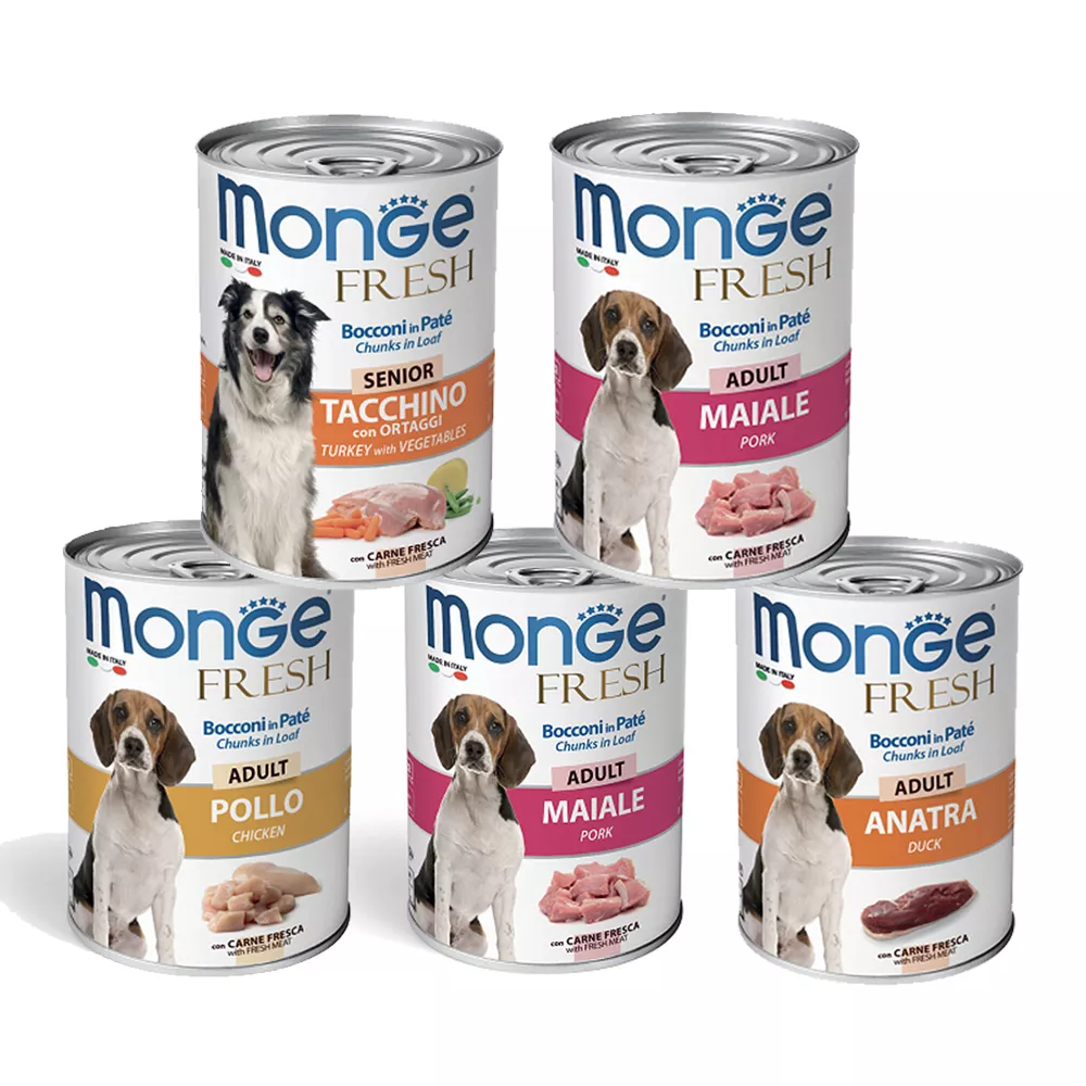 Pate Monge cho chó Lon 400g