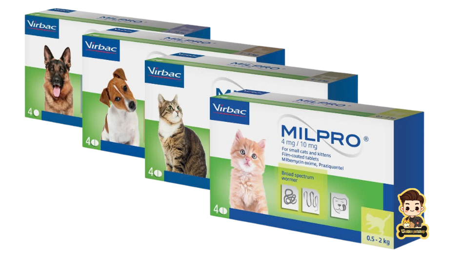 Thuốc xổ giun Milpro cho chó mèo