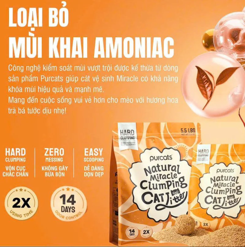 Cát sắn Cature