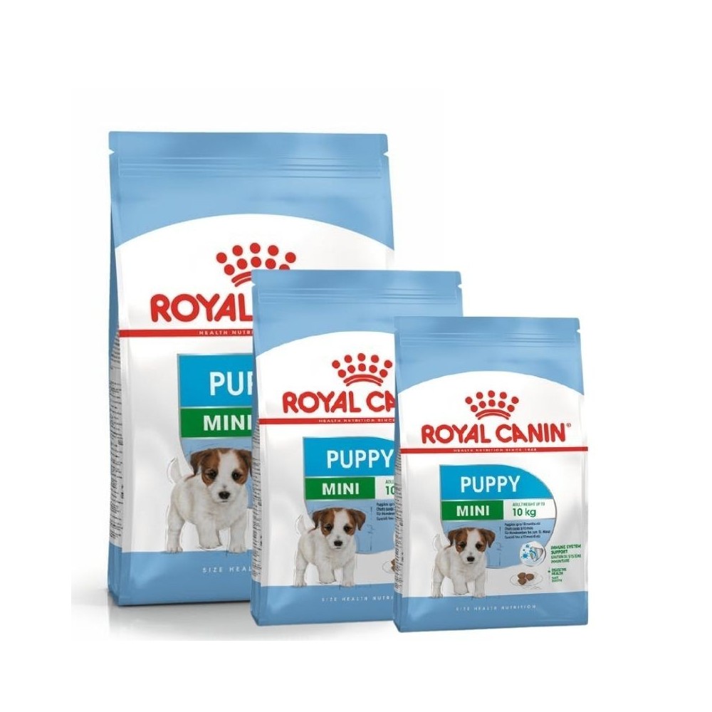 Thức ăn chó Royal Canin Mini Puppy - Chó giống nhỏ dưới 10 tháng tuổi