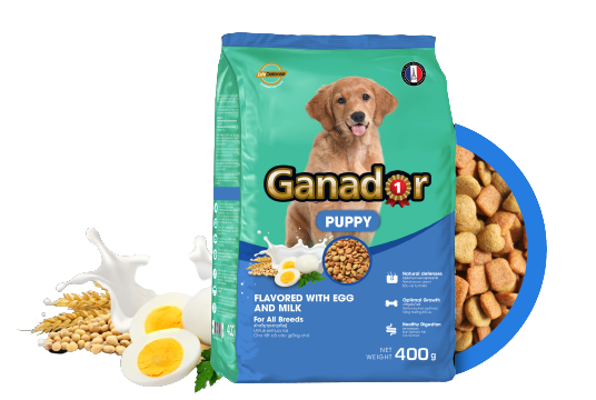 Thức ăn cho chó con vị trứng và sữa - Ganador