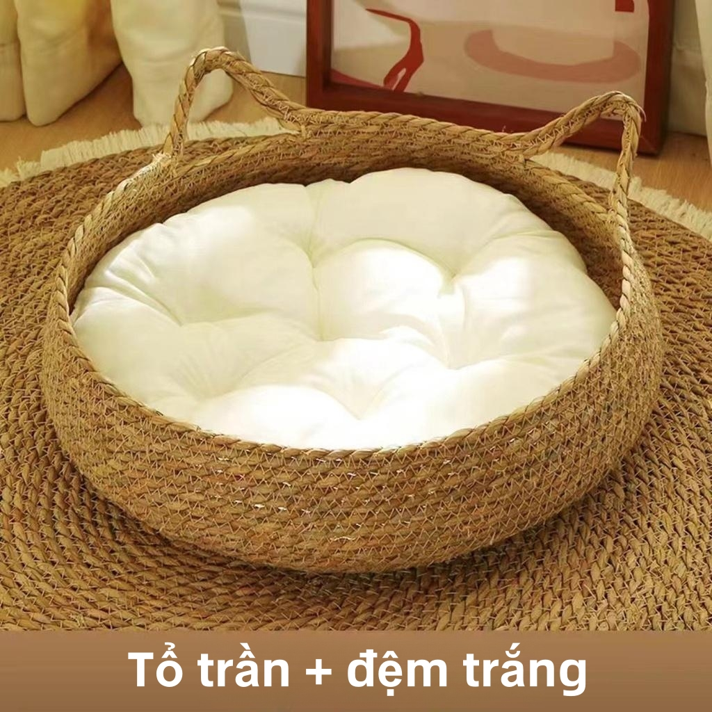 Ổ nệm