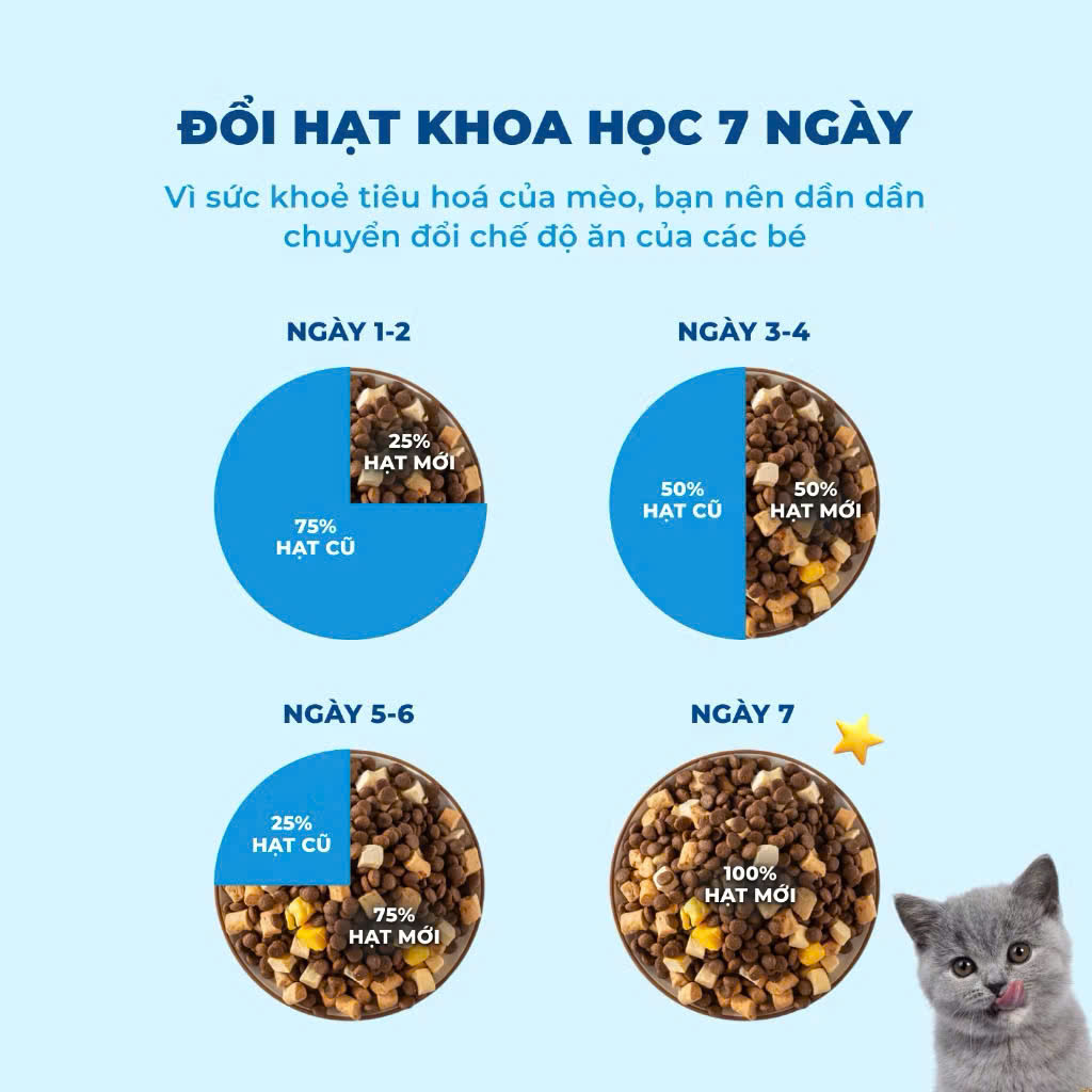 Hạt Mr.Vet T2 Hair Skin 10kg