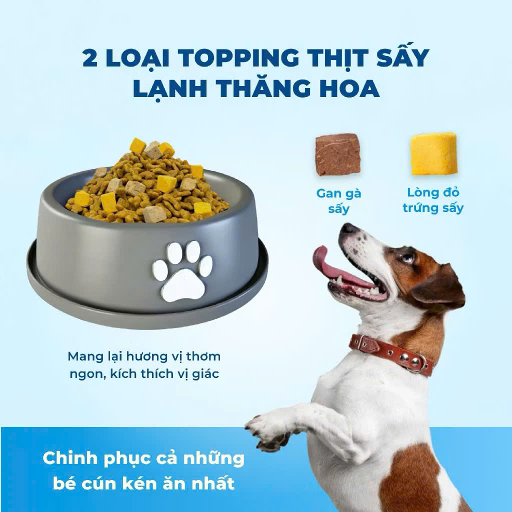 Hạt Mr.Vet Chó D1-1,4kg