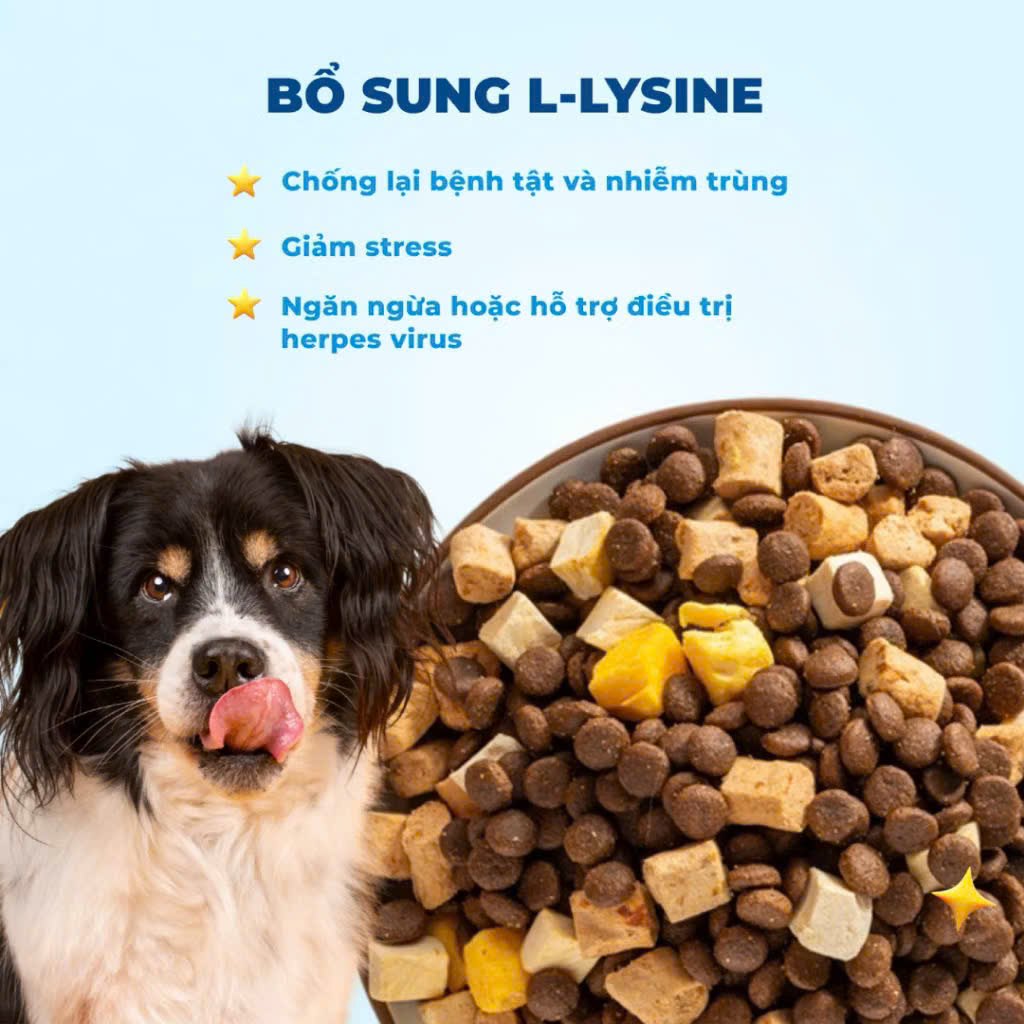 Hạt Mr.Vet Chó D1-1,4kg