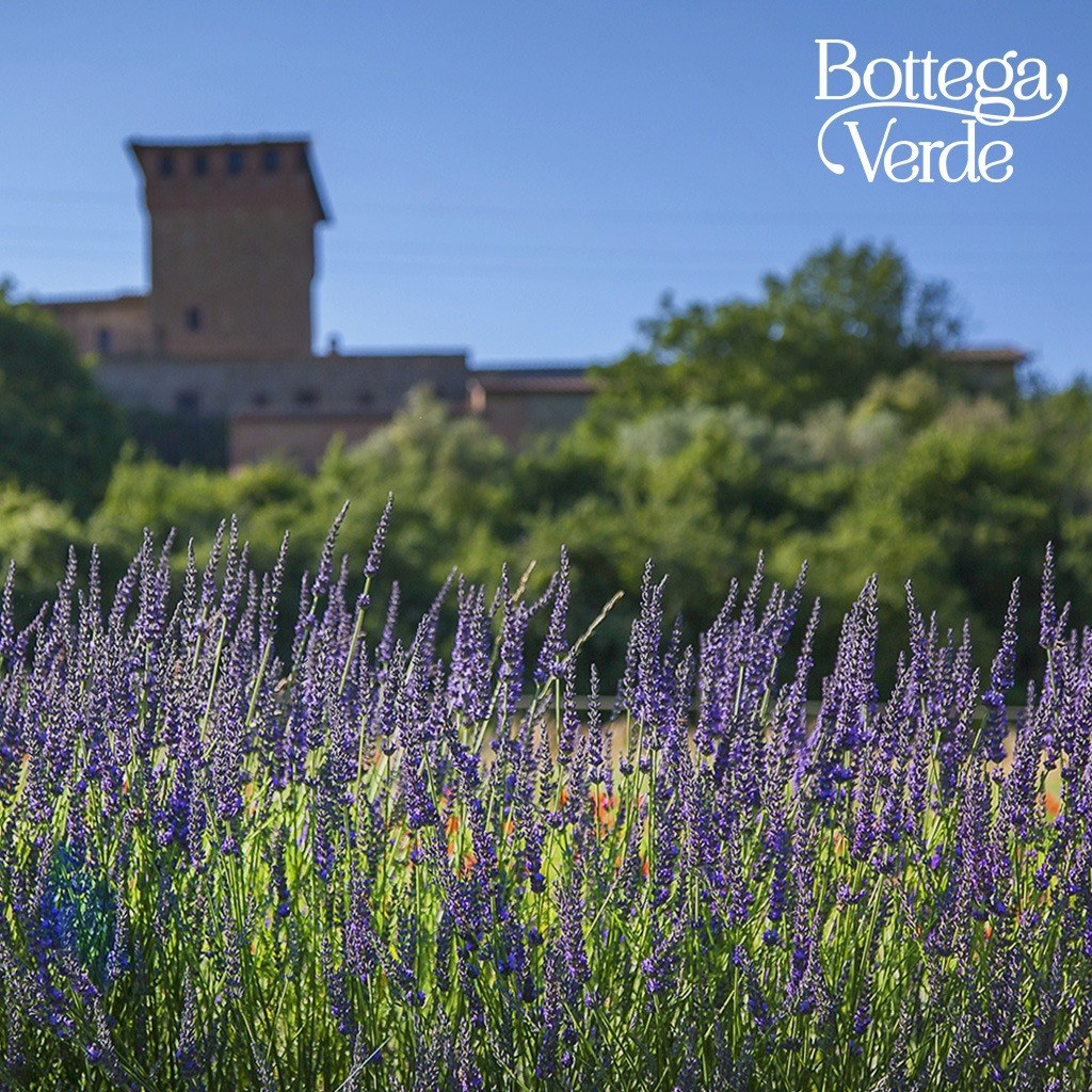 TUSCANY - TRÁI TIM CỦA BOTTEGA VERDE