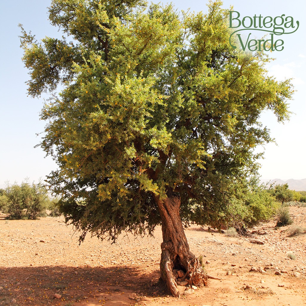 TRẢI NGHIỆM BOTTEGA VERDE - KHI VẺ ĐẸP CHẠM ĐẾN MỌI GIÁC QUAN