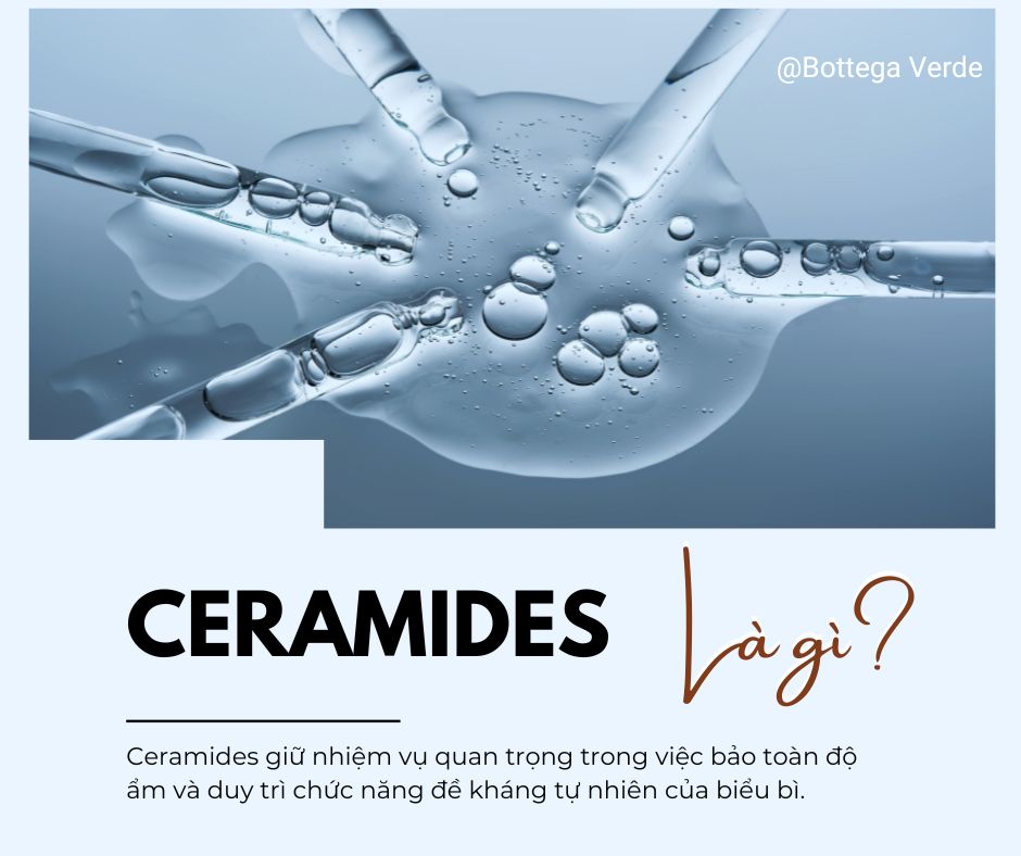 CERAMIDES: LỚP VỮA SINH HỌC VÀ CHÌA KHÓA PHỤC HỒI HÀNG RÀO BẢO VỆ DA
