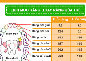 BẢNG THỨ TỰ MỌC RĂNG VÀ THAY RĂNG SỮA CỦA BÉ THEO THỜI GIAN CHÍNH XÁC NHẤT