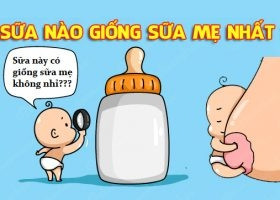 SỮA NÀO TỐT NHẤT CHO TRẺ SƠ SINH MÀ GIỐNG VỚI SỮA MẸ NHẤT?